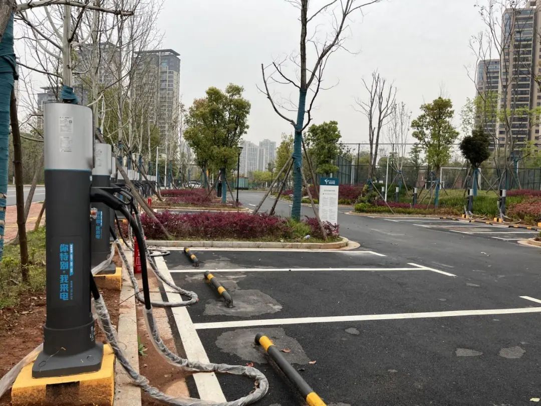 1681779293148393.jpg 640 (6).jpg